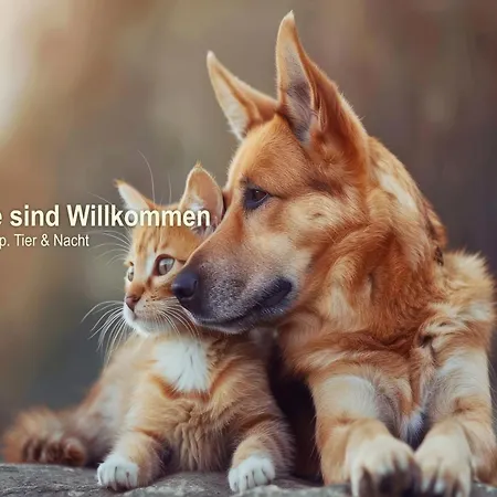 Ferien Rennsteigblick Szálloda Friedrichroda